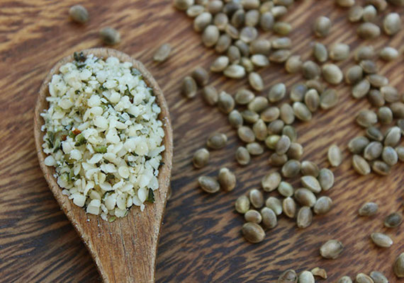 Konoplja velja za eno izmed najbolj hranljivih živil na svetu! (Vir: superfoods-for-superhealth)