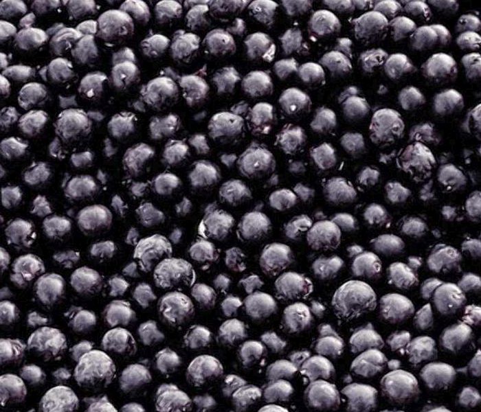 Nobena študija ne podpira trditev o zdravstvenih učinkih acai jagod. Vir: berriegood.com